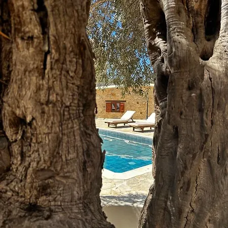 Lejlighedshotel Stone Court Boutique *